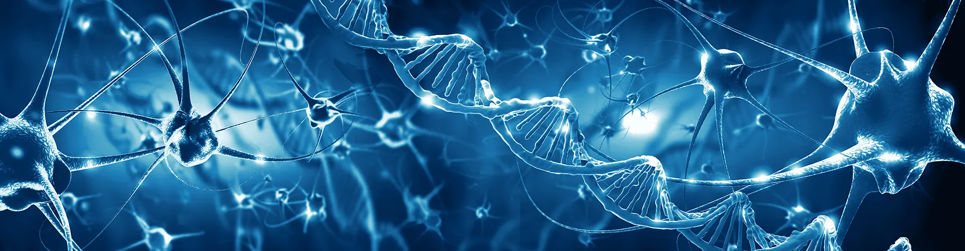 Illustration von Nerven- und DNA-Strängen auf blauen Hintergrund